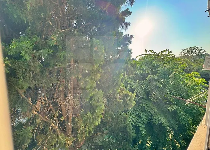 1br Pineview Retreat 公寓