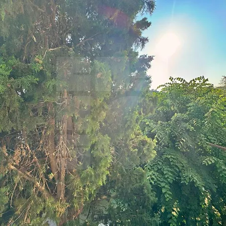 1br Pineview Retreat Apartman